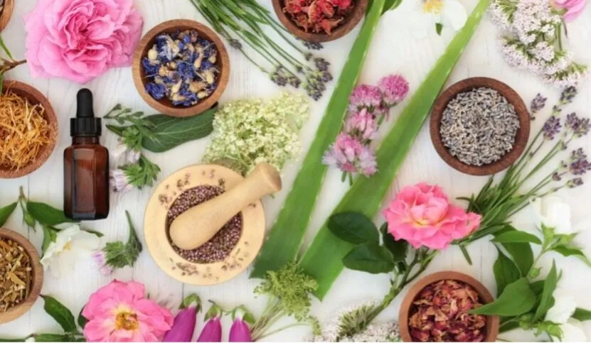 Quel est le principe de la naturopathie ?